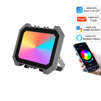 Projecteur LED RGB d'Ambiance pour Fête, Lumière Changeante de Couleur, Télécommande, Contrôle TUYA, Projecteur d'Extérieur pour Paysage, Lampe Maison Intelligente
