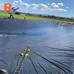 Géomembrane de 20 ans d'expérience pour les fossés de drainage, les murs de protection, les conduits de déversion d'urgence, les déchets de canne à sucre et de fécule de tapioca, et les revêtements de bassins - Product Image 5