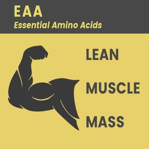 อาหารเสริมกรดอะมิโนจำเป็นสำหรับฟื้นฟูกล้ามเนื้อและรองรับพลังงานสำหรับผู้ชายและผู้หญิงแคปซูล EAA - Product Image 3