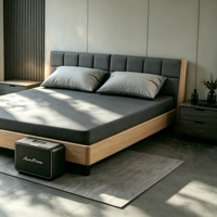 Système de contrôle de la température du lit, surmatelas rafraîchissant intelligent, circulation d'eau, coussin rafraîchissant pour le sommeil
