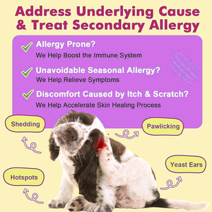 Oem כלב טבעי אלרגיה הקלה לועס colostrum אומגה-36 תמיכה במערכת החיסון גירוד העור הקלה טיפול כתם חם כתם חם - Product Image 4