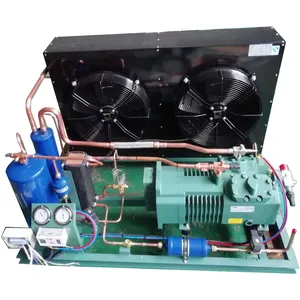 Compressor Cooling Unit China Refrigeration Unit Freezer Cold Room Condenser Single Phase Condensing Unit