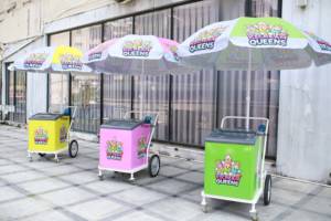 Chariot mobile le plus populaire pour le congélateur à Popsicle Food Street Food vendant des aliments surgelés sur la plage - Product Image 3
