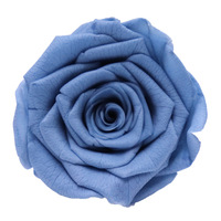 Boîte cadeau de têtes de roses éternelles de qualité supérieure - Fleurs séchées faites à la main pour la Saint-Valentin et la décoration intérieure