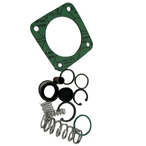 MANNY 2901029801 Metal Valve Service Kit for Compressor - Product Image 1