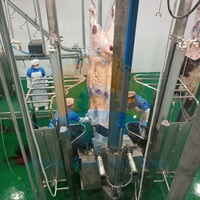 100 Usine d'abattoir de bovins Ligne de traitement d'abattage de boeuf halal pour boucherie de vache