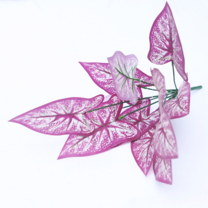 12 branches d'arum d'eau violet