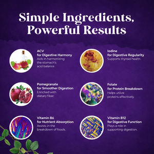 Gomitas Quemagrasas Nocturnas Certificadas por GMP, Suplemento Dietético para Reducir Grasa Abdominal, Gomitas Quemagrasas Premier - Product Image 5