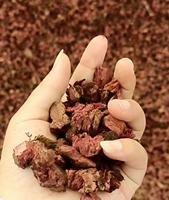 Mélange de substrat écologique en écorce de liège entièrement décomposé, hydratant et organique pour plantes tropicales 3-6mm 12-18mm