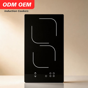 Cuisinière à <span class=keywords><strong>induction</strong></span> 220V, usage domestique et commercial, haute puissance 3500W, chauffage rapide, cuisinière à <span class=keywords><strong>induction</strong></span> professionnelle à double brûleur - Product Image 1