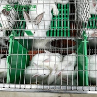 Cage à lapins galvanisée à chaud, type H, 2 niveaux, 24 portes, pour l'élevage commercial de lapins, équipement agricole