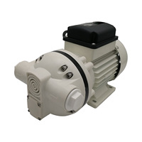 Yüksek akış 230Vac 50LPM Def sıvı Transfer pompası diyafram pompası temiz su için zayıf asit/temel OEM özelleştirilebilir