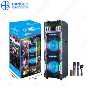 Hansuo HS-TD12T8 Nhà Máy Tùy Chỉnh Đôi 12 Inch Bass Dj Hệ Thống Karaoke Đảng Xe Đẩy Loa Siêu Trầm Loa Với Hai mics - Product Image 1