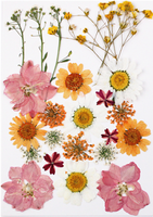 Natuurlijk bloemen DIY-materiaalpakket Embossing Handgemaakte feeënmake-up voor studenten Bruiloft Kerst Gezichtsdecoratie Goedkeuring