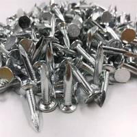 Clous pour tuiles en acier, à tête large, pour toiture, clous pour feutre, fixation sécurisée des tuiles, directement du fabricant
