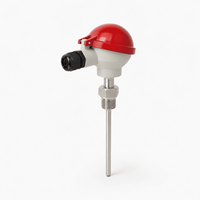 Anti-corrosion 316L Sheath Temperature Sensor for Chemical Liquid and Corrosive Medium Temperature Detection