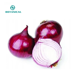 オニオンエキスパウダーからの新しいデザインのケルセチン、高品質の赤オニオンピールエキス - Product Image 5
