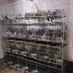 Yeni galvanizli H tipi otomatik gübre tepsisi ile 3 katmanlı tavşan kafesleri 12 tavşanlar için dayanıklı inşaat ticari kullanım - Product Image 5