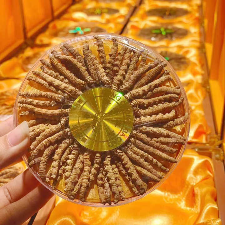 最高のチベットNagquグレードのワーム草冬虫夏草シネンシスミリタリス 