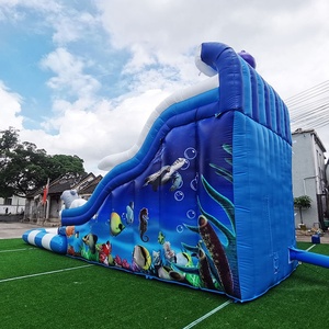 Commercial Inflatable PVC Water <strong>Slide</strong> with <strong>Swimming</strong> <strong>Pool</strong> for Kids &amp; Adults Double Lane Customizable Color &amp; Logo Custom Size - Product Image 2