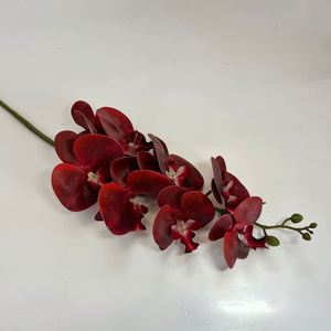 Film d'orchidée Phalaenopsis artificiel réaliste pour la décoration de <span class=keywords><strong>mariage</strong></span> et la décoration intérieure adapté aux occasions de retour à l'école - Product Image 6