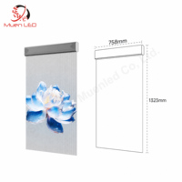 Écran LED transparent invisible P3.91 pour intérieur, 758x1323mm, étiquettes holographiques transparentes, écran LED fin