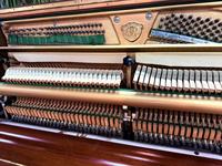 Used Samick Sm--900 131cm Colored Upright Piano, Professional Grade
