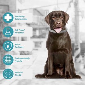 Arnés moderno de liberación rápida para mascotas y <span class=keywords><strong>collar</strong></span> de correa, <span class=keywords><strong>collar</strong></span> de cono de goma suave con patrón sólido - Product Image 6