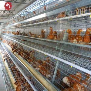 Galvanizli örgü A tipi katman yumurta tavukları <span class=keywords><strong>Broiler</strong></span> Pullet civciv damızlık tavuk kafesi - Product Image 5