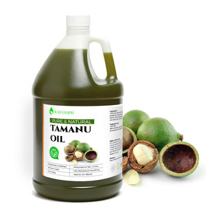 Tamanu-Öl Fabrik Kaltgepresstes Trägeröl Bio <span class=keywords><strong>Tahiti</strong></span> Grünes Tamanu-Samenöl für Hautpflege - Product Image 1