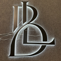 Lettres en acrylique 3D personnalisées avec logo, enseignes publicitaires LED avec lettres LED métalliques pour les entreprises, tels que les magasins et les entreprises