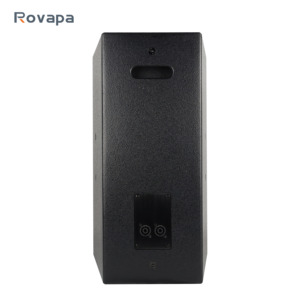 ROVAPA RV-100 250W 10'' Rich and Powerful Bass Smooth Midrange With Stereo Audio Output for Stage Monitoring <strong>Speaker</strong> - Product Image 1