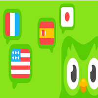 Compte Premium Duolingo Plus Pro, 6 mois et 1 an, applicable dans le monde entier, activez votre propre compte