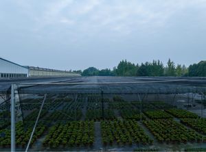 Usine Jiapei Cadre de tuyau <span class=keywords><strong>en</strong></span> acier galvanisé Pare-soleil <span class=keywords><strong>Abri</strong></span> simple Système d'ombrage de serre pour fleurs <span class=keywords><strong>en</strong></span> pot - Product Image 4