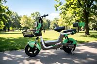 Vélo électrique de loisirs urbains, moteur 500W, cadre en acier à haute teneur en carbone, vélo électrique populaire pour adultes