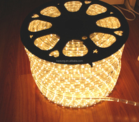 Guirlande lumineuse led pour noël, durpoids de 2 fils, 50 pieds, blanc chaud, 2 pièces