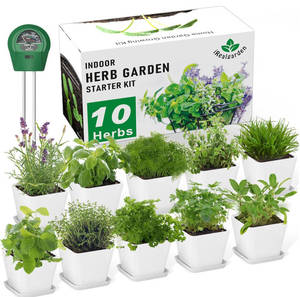10 variétés d'herbes avec kit complet <span class=keywords><strong>de</strong></span> culture d'herbes d'intérieur, <span class=keywords><strong>pot</strong></span> réutilisable écologique - Product Image 1
