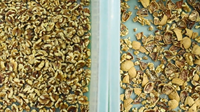 Wenyao Hete Nieuwe Producten Rijst Soja Walnoot Cashew Pistache Noot Amandel Kleur Sorter Machine Wereldwijd Leverancier
