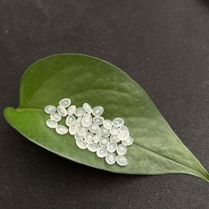 <b>PP</b> Plastic Granules Injection Grade Recycled Material <b>Pp</b> Scrap Waste High Density Polypropylene - Product Image 2