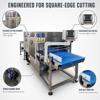 Machine à découper les gâteaux carrés de haute qualité Wanlisonic, électrique, haute productivité, processeur ultrasonique pour produits laitiers, aliments et en-cas