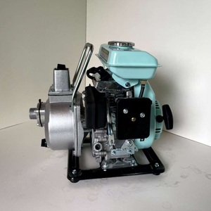 Pompe à eau ronde à essence 3HP WP10, entrée 25mm, débit 8m³/h pour l'irrigation domestique et de jardin, Philippines. - Product Image 5