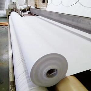 Tissu géotextile de renfort blanc <span class=keywords><strong>pour</strong></span> le traitement de Protection de pente de rivière d'<span class=keywords><strong>allée</strong></span> de <span class=keywords><strong>gravier</strong></span> - Product Image 5