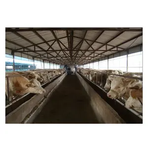 中国供应商装配式钢结构山羊农场房屋绵羊动物养殖设计棚屋