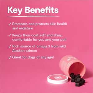 Suplemento para la Piel y el Pelaje de Perros de Marca Privada OEM/ODM con Colágeno, Biotina y Vitamina C que Ayuda a Mantener una Piel Normal - Product Image 3