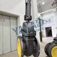 Válvula de Compuerta de Acero Inoxidable OEM Personalizada, con Brida ANSI/DIN/JIS, SS304/316L, Uso Industrial