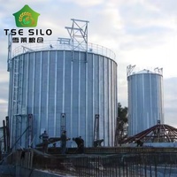 Silo en acier à fond plat isolé pour convoyeur à bande et élévateur à godets pour usine de transformation de la farine