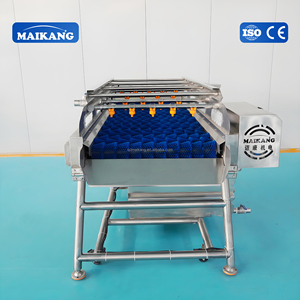 Máquina de Limpieza Inteligente con Rodillo de Cepillado y Pulverización, Completamente en Acero Inoxidable 304, para Mariscos (Almejas, Vieiras), Pescado - Product Image 6