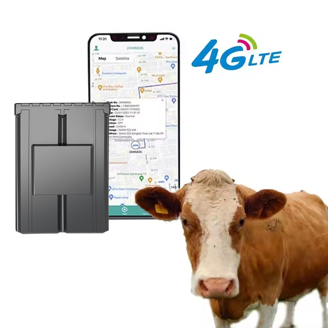 Cattle Tracker Gps Animals Horse Sheep Cow  Camel 4G Mini Solar Panel Locator Waterproof Magnet Gsm Gps Tracking Device Factory