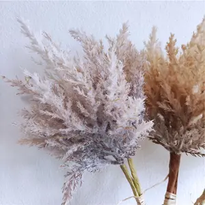 Cỏ Pampas ngắn thân, cỏ Pampas ngắn, hoa khô cỏ Pampas, hoa giả nhỏ - Product Image 5