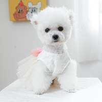 Robe en mousseline bouffante pour chien et chat, robe de soirée haut de gamme, robe de mariée en dentelle pour animaux de compagnie